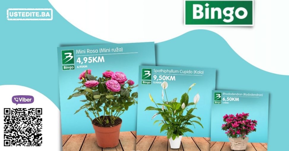 Sobne biljke, sobno cvjece su idealan način da osvježite svoj dom. U periodu 30.03-08.04. u Bingo trgovinama pronađite odličnu ponudu cvijeća po fantastičnim cijenama. Koje cvijeće ti biraš? Jasmin, Kala, Mini Ruža ili Rododendron? 