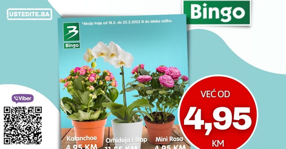 Bingo katalog donosi nam ukrasn cvijeće već od 5,95 KM!