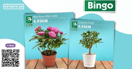 Bingo ukrasno cvijeće 12-17.04.2022.