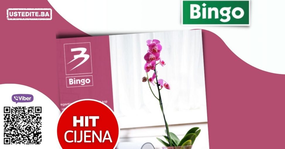 Sniženje orhideja u Bingo marketima. Kupite orhideju u Bingo marketima za samo 9,85 KM!