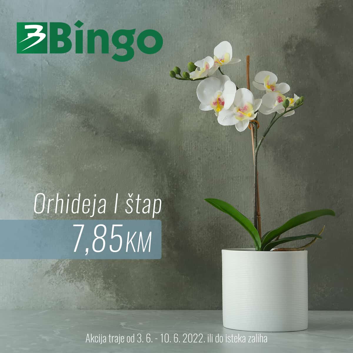 Uljepšajte vaš dom ili razveselite dragu osobu orhidejama iz naše ponude. U odabranim Bingo trgovinama pronađite orhideje po fantastičnoj cijeni od 7,85 KM.