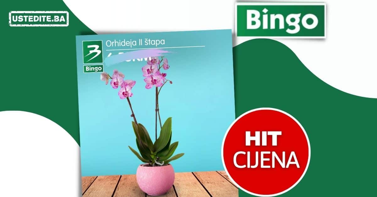 Bingo Orhideja II štapa akcijska cijena samo 6,55 KM