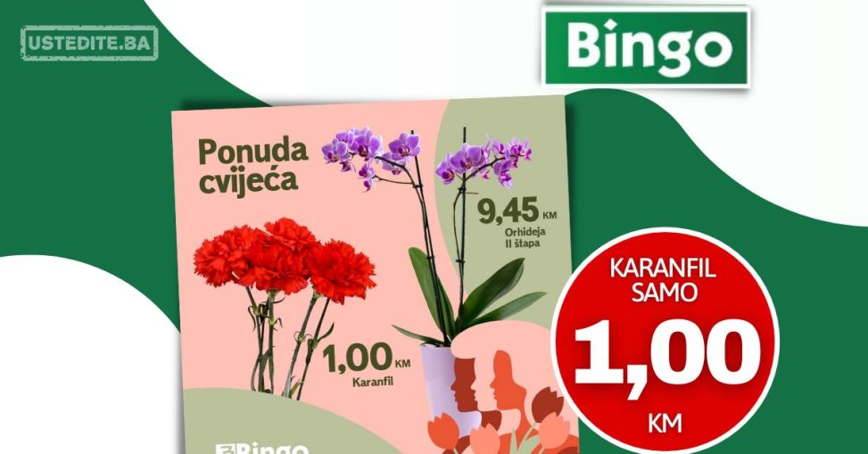 Bingo akcijska ponuda CVIJEĆA 6-8.3.2023. Karanfili i Orhideje su snižene!