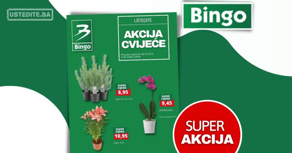 Bingo AKCIJA CVIJEĆA - sniženje do 29.10.2023.