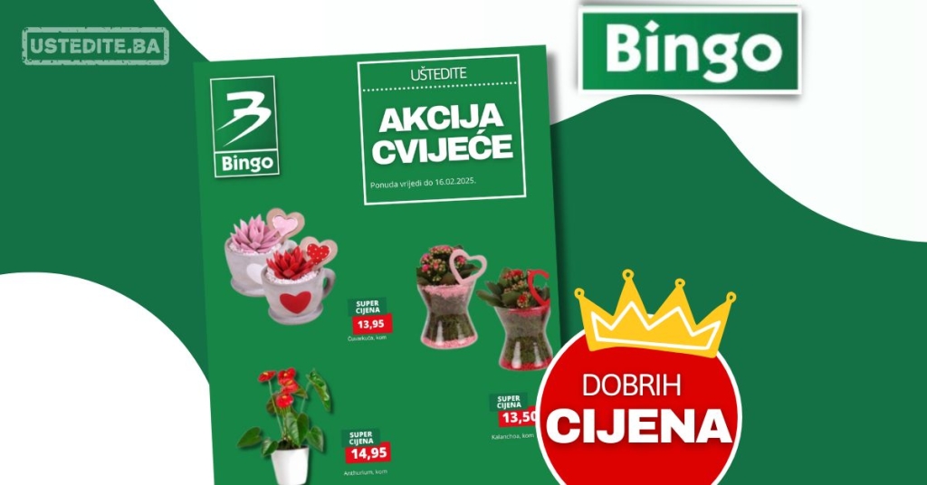 Bingo akcija CVJEĆARA – sniženje do 16.2.2025.