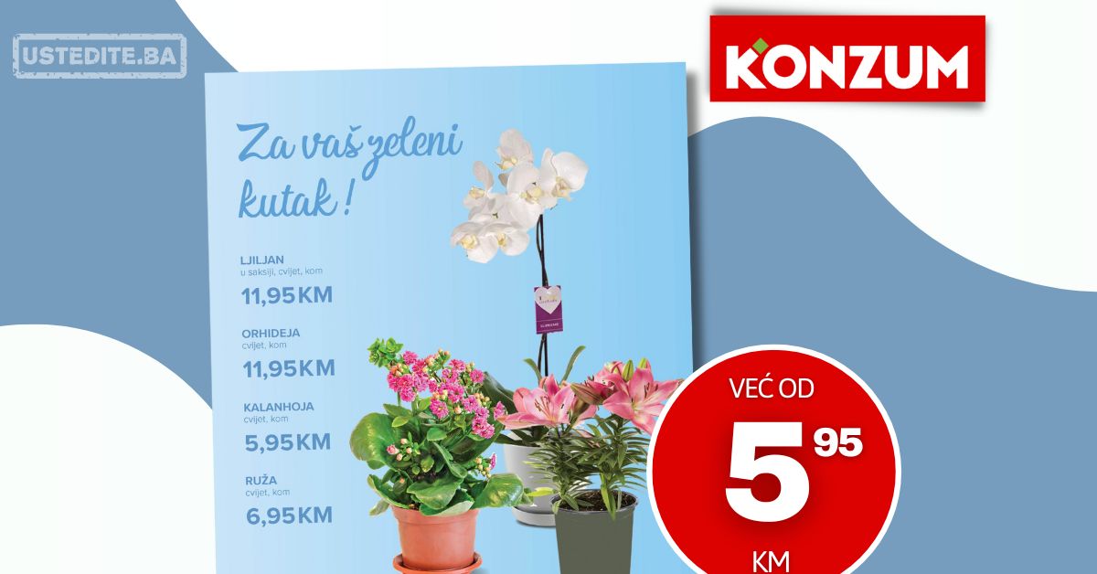 Konzum akcija CVIJEĆE 26-31.3.2025.