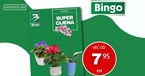 Bingo CVIJEĆE