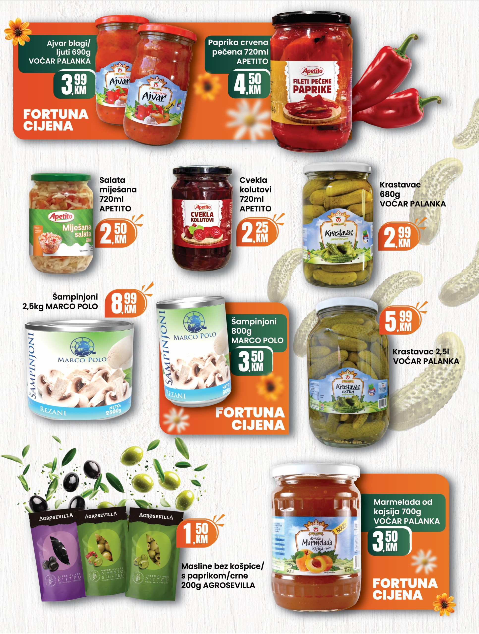 Fortuna katalog 1-31.5.2025.