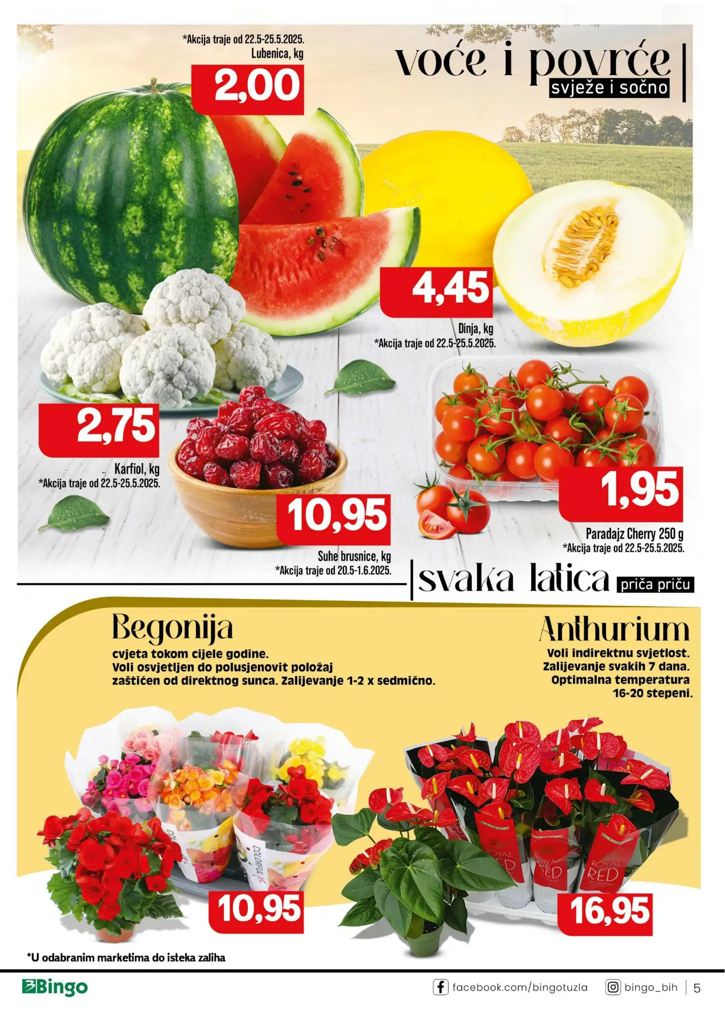 Bingo katalog 20.5-1.6.2025.