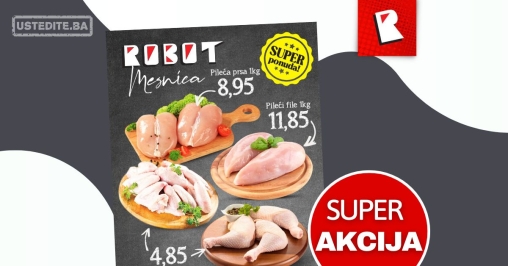 Robot MESNICA 2-4.6.2025.