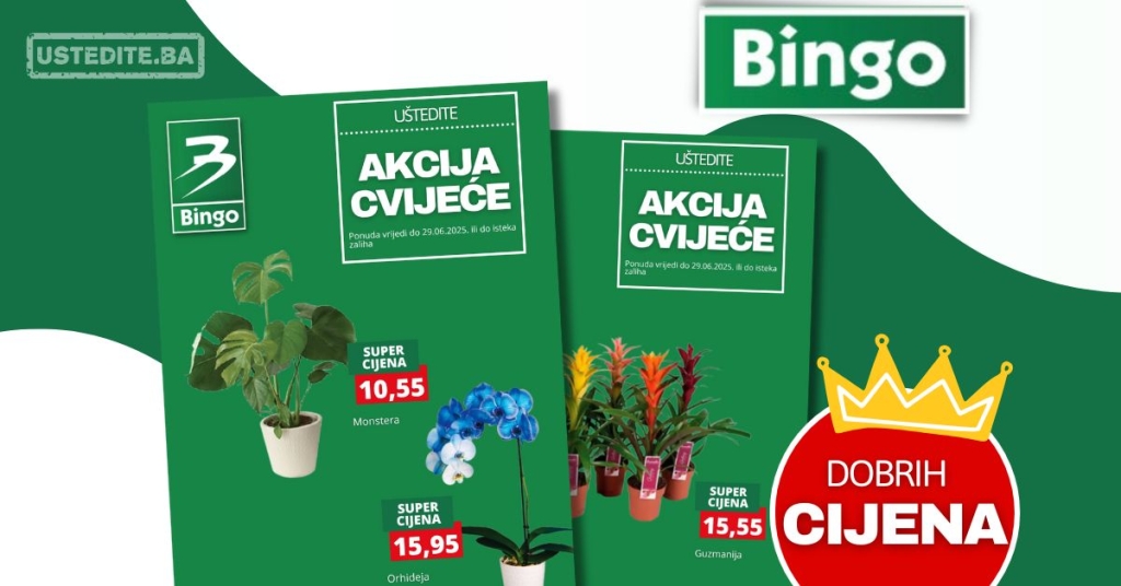 Bingo CVIJEĆE – sniženje do 29.6.2025.