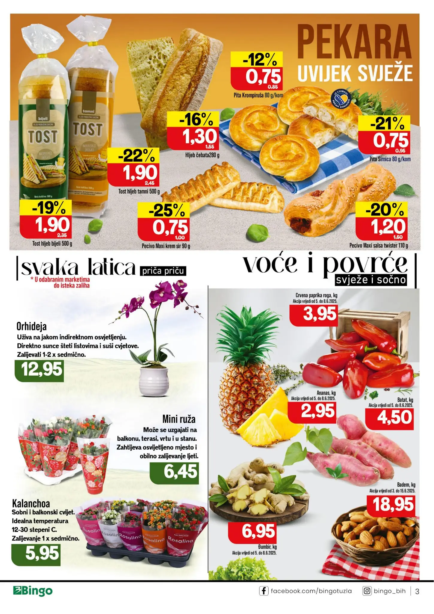 Bingo katalog 3-15.6.2025.