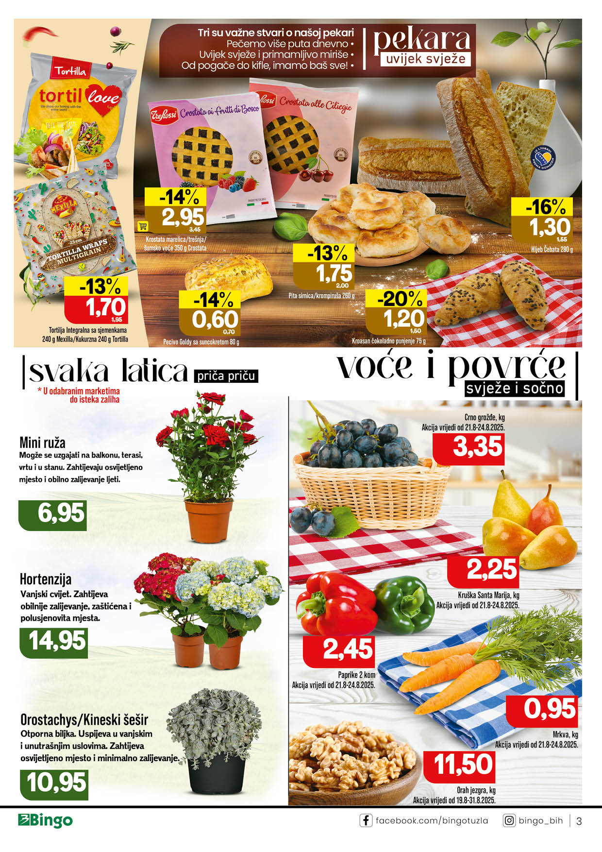 Bingo katalog 19-31.8.2025.