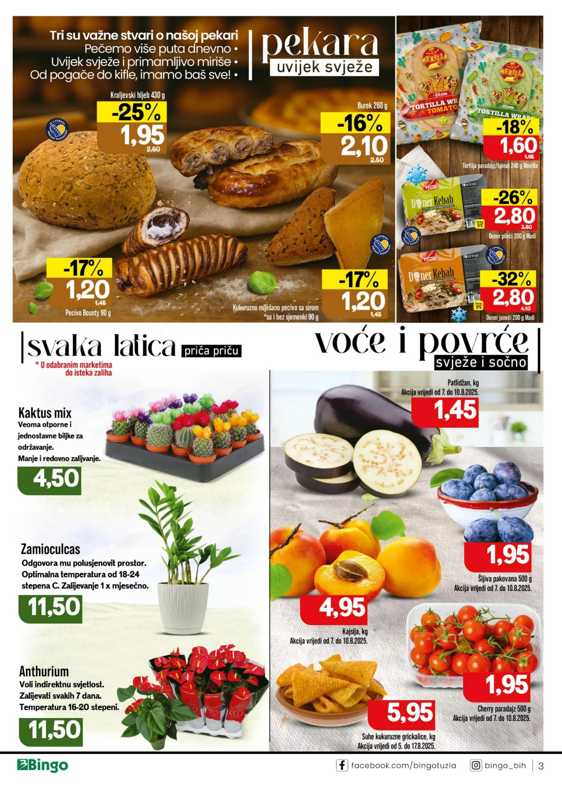 Bingo katalog 5-17.8.2025.