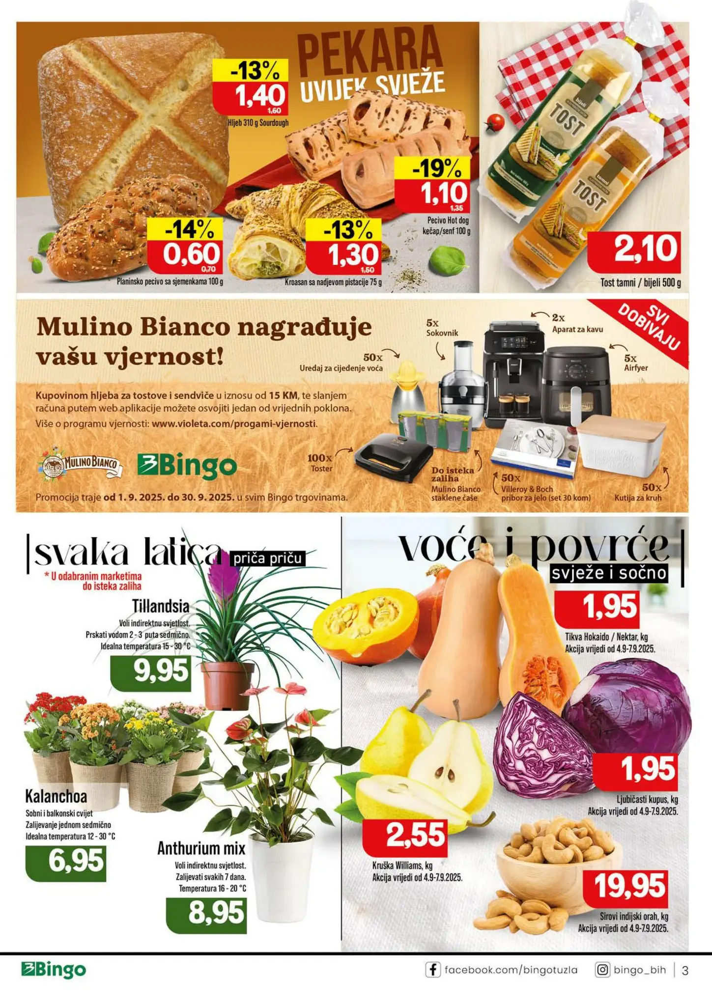 Bingo katalog 2-14.9.2025