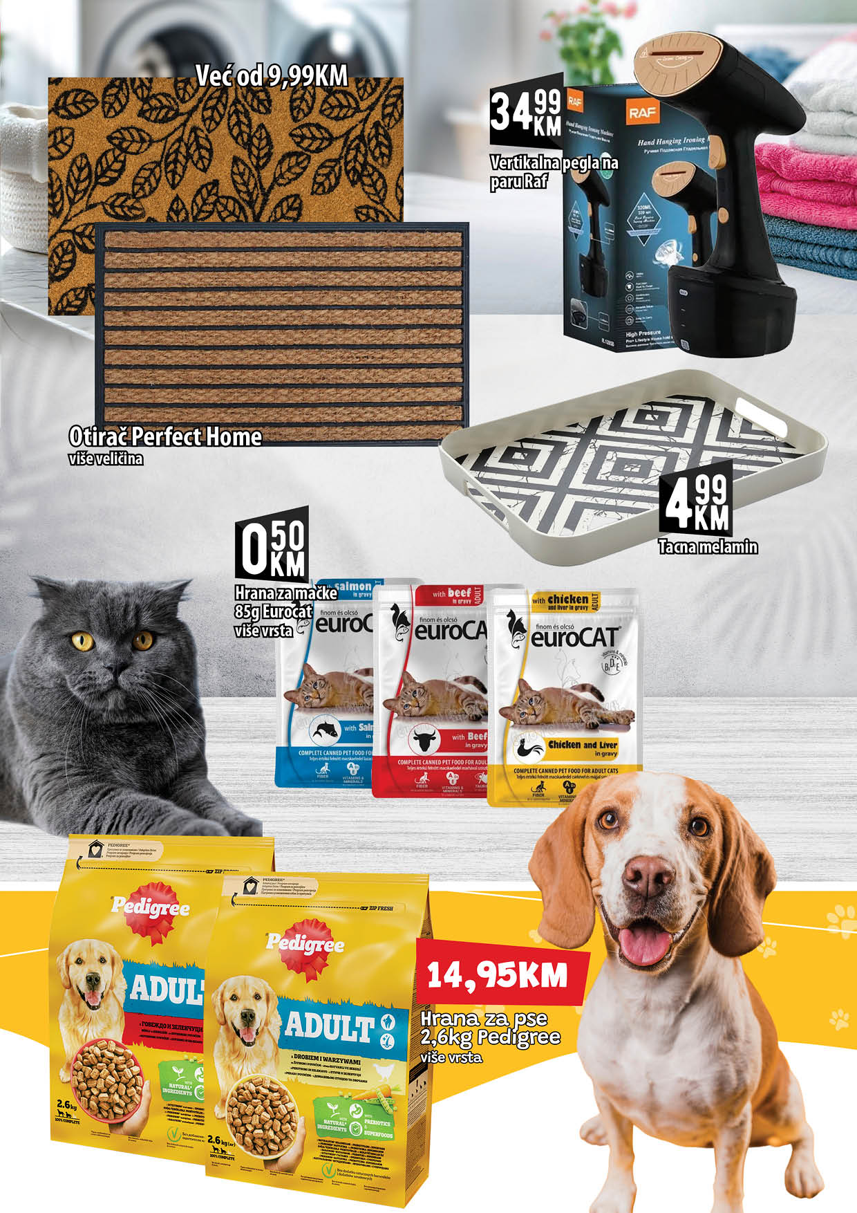 Kort katalog 10-29.10.2025.