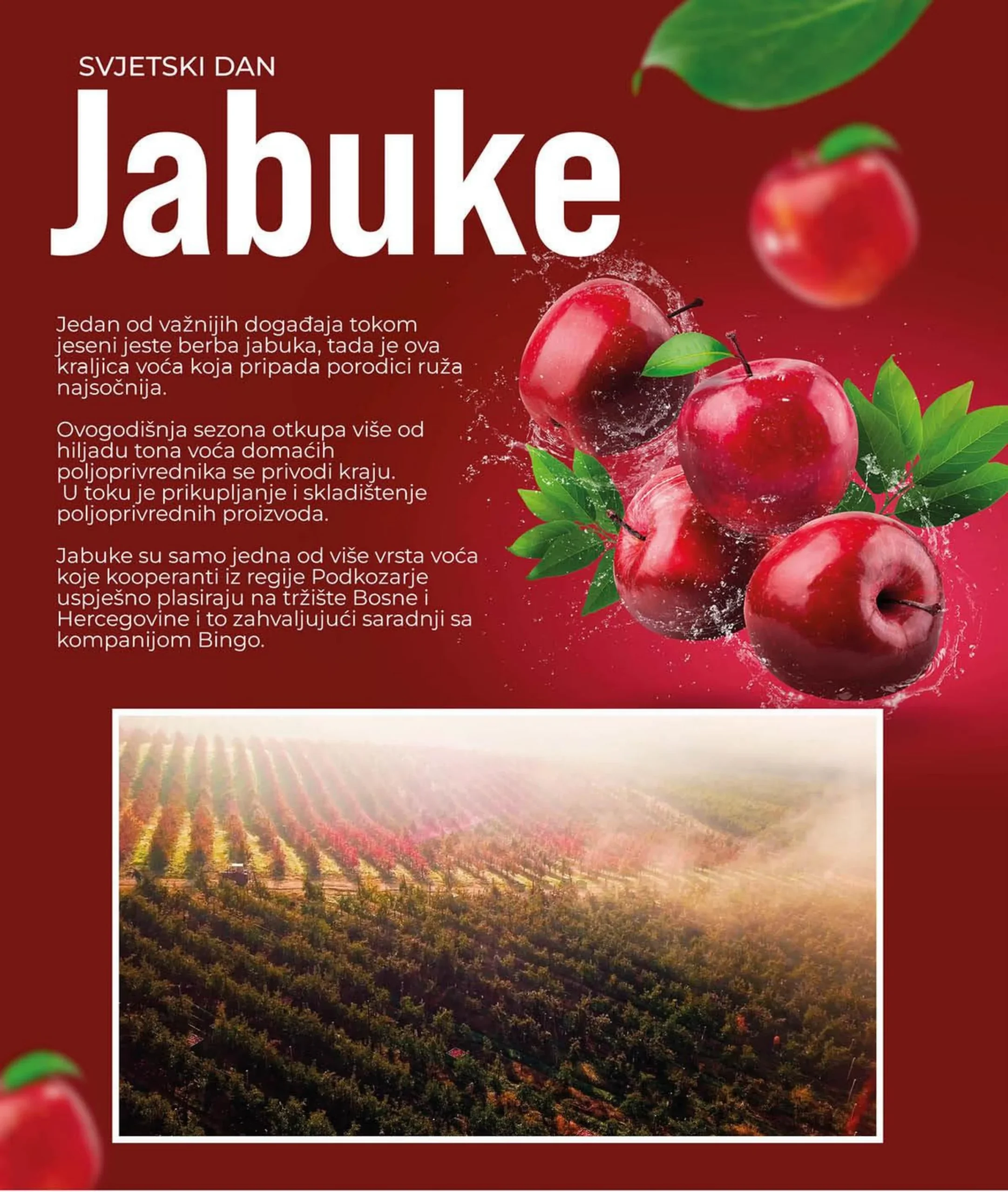 Bingo Magazin PLus 13.10-4.11.2025.
