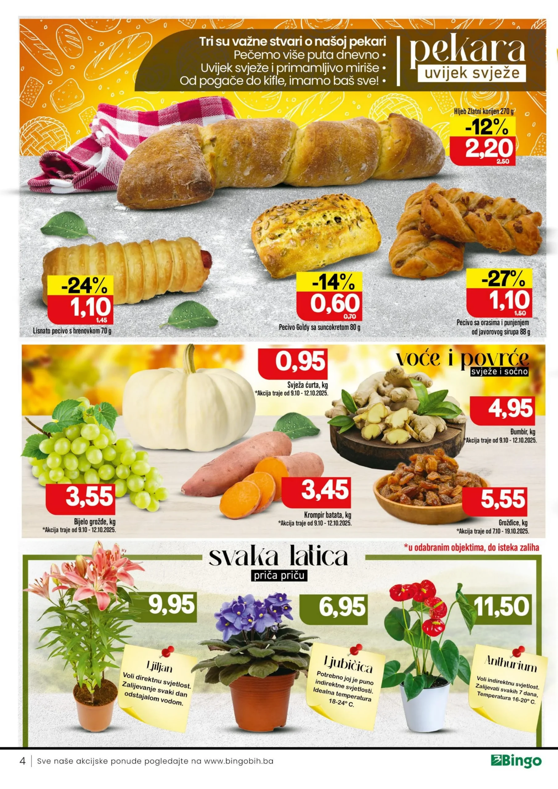 Bingo katalog 7-19.10.2025