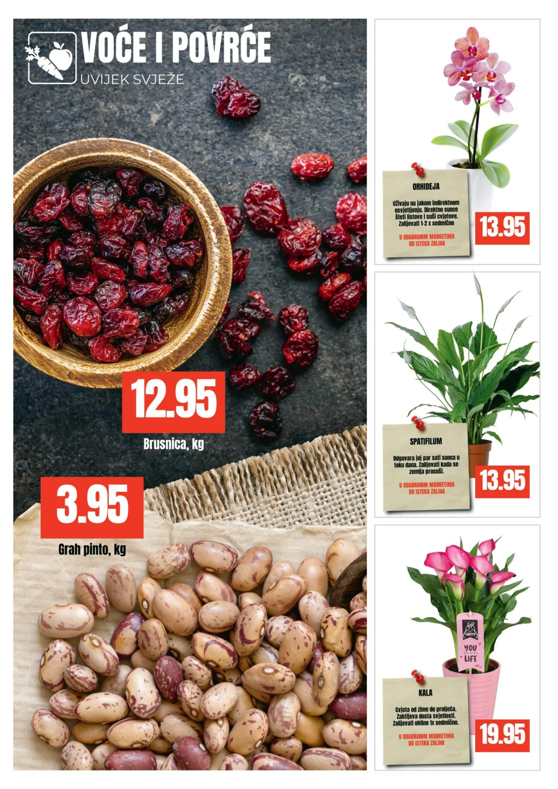 Bingo katalog 3-15.2.2026.