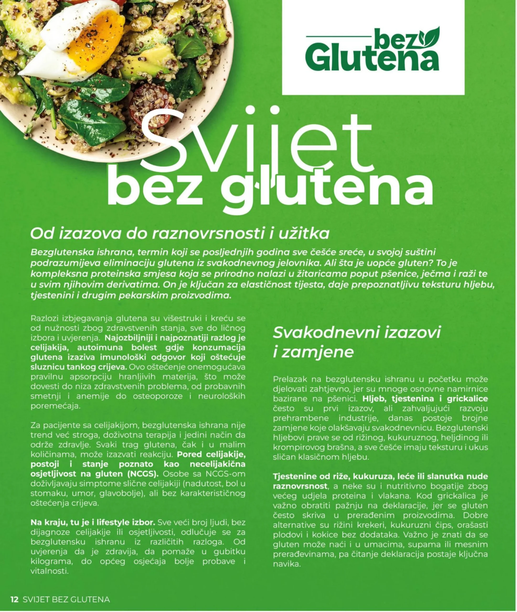Bingo katalog MAGAZIN PLUS 12.5-2.6.2026.