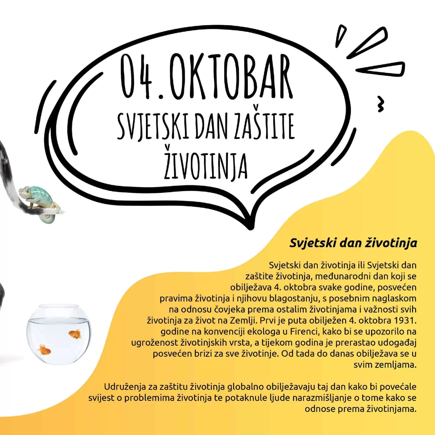 4.10. svjetski dan zastite zivotinja. 