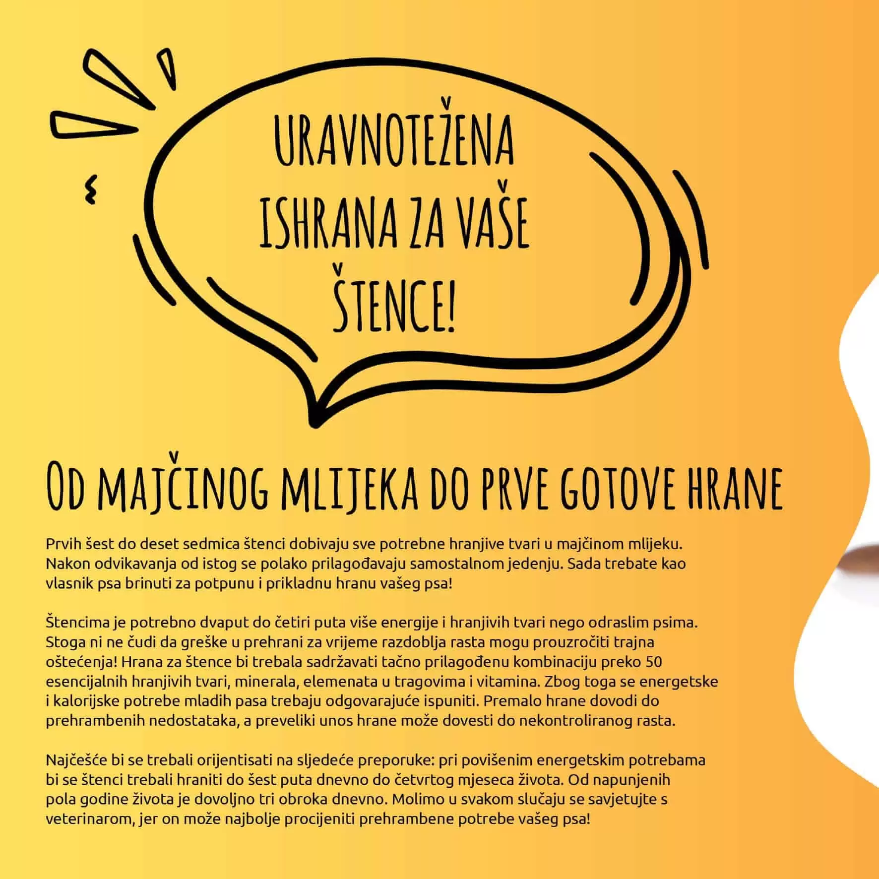 pas. hrana. maca. cuko. hrana za mace. 