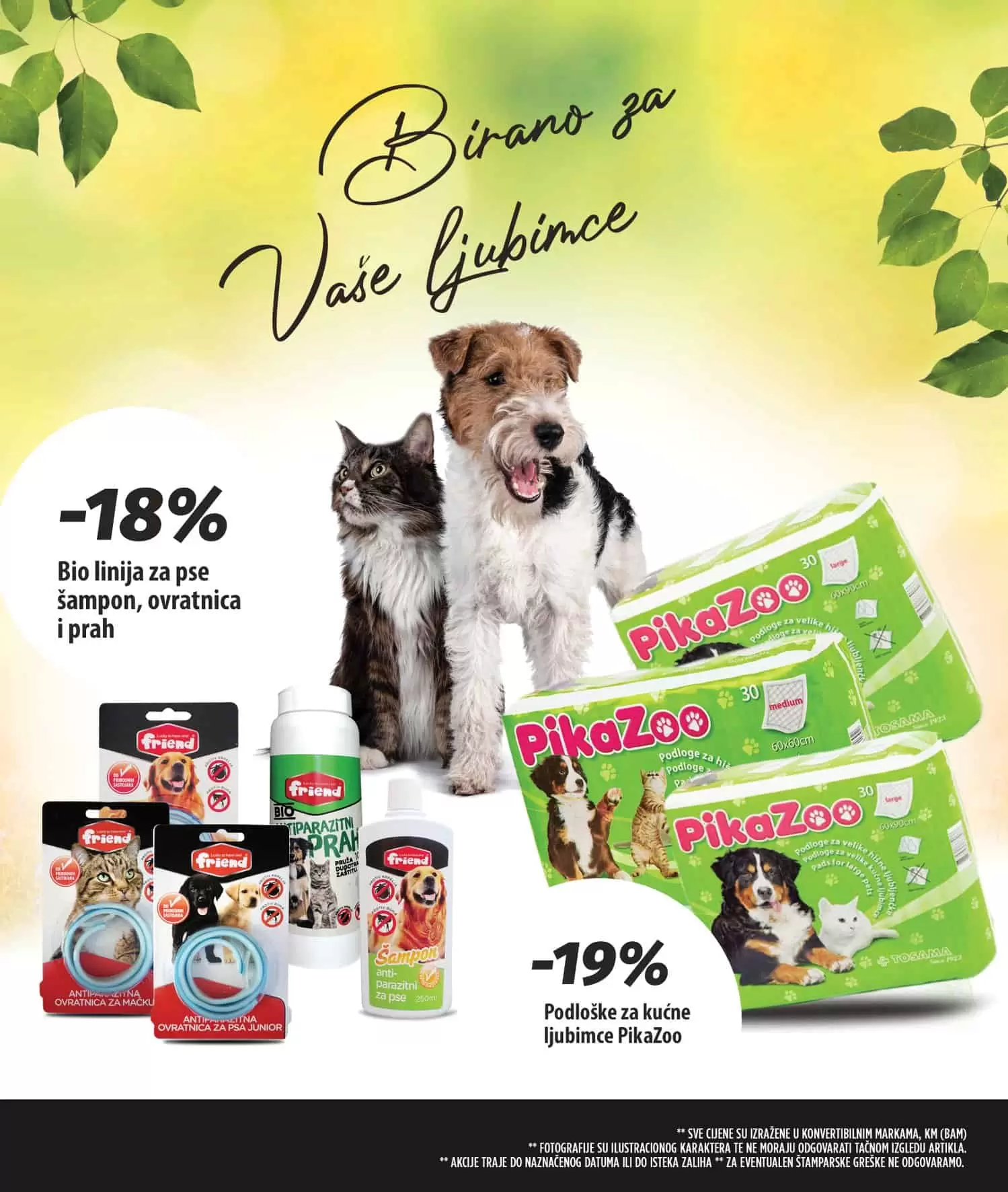 zin plus. bingo snizenje. bingo akcija. bingo popust.  silan.