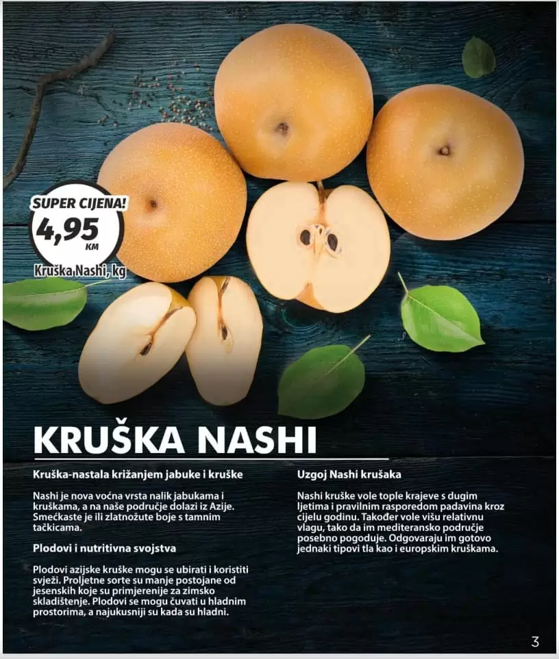 bingo akcijski katalog. bingo snizenje. bingo popusti. bingo magazin plus