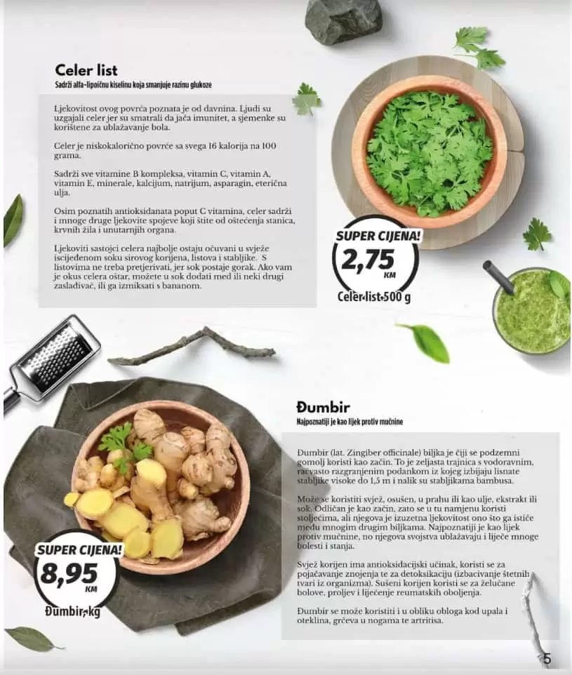 Bingo katalog. bingo snizenje. bingo akcija. popust. katalog.