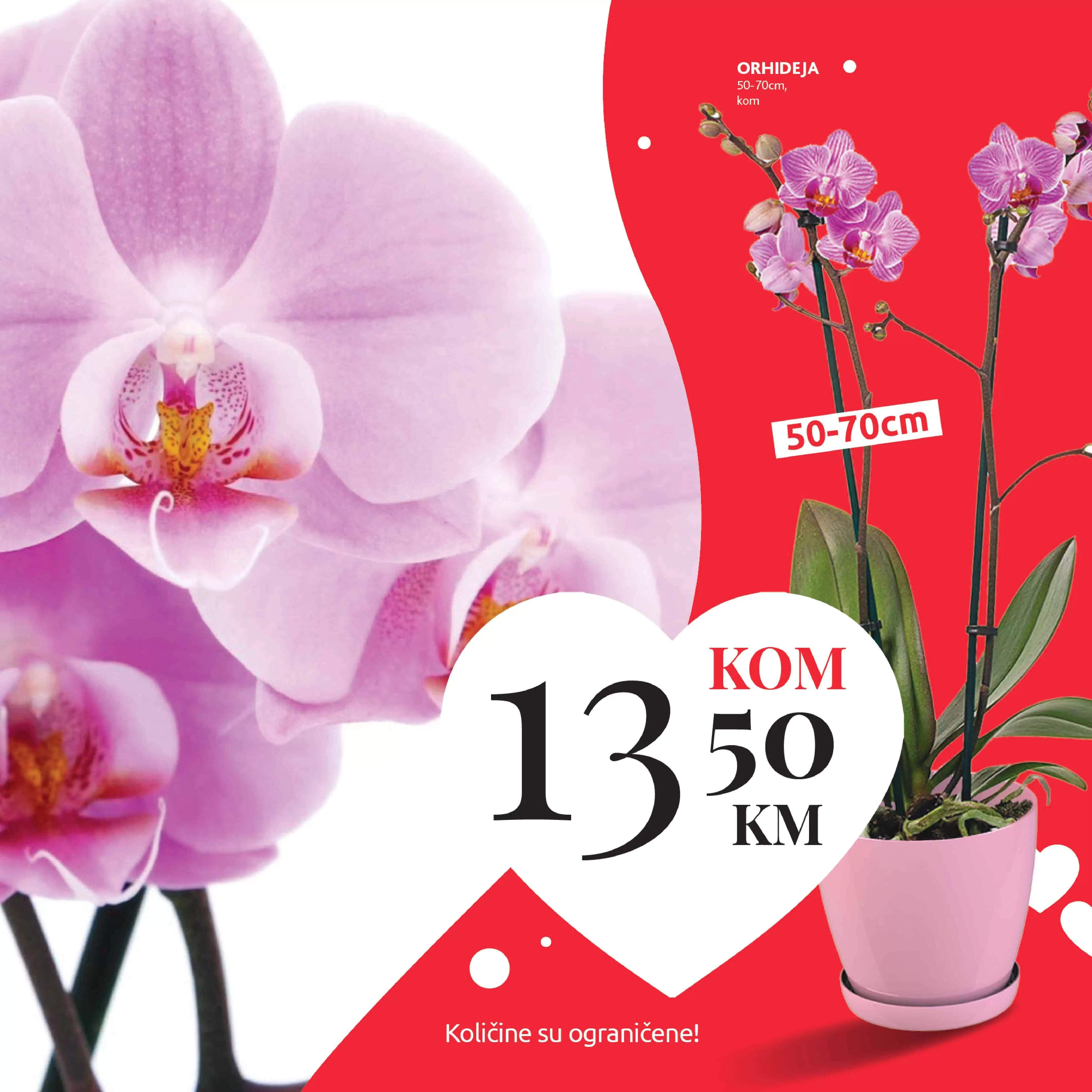 konzum katalog. konzum akcija. konzum snizenje.