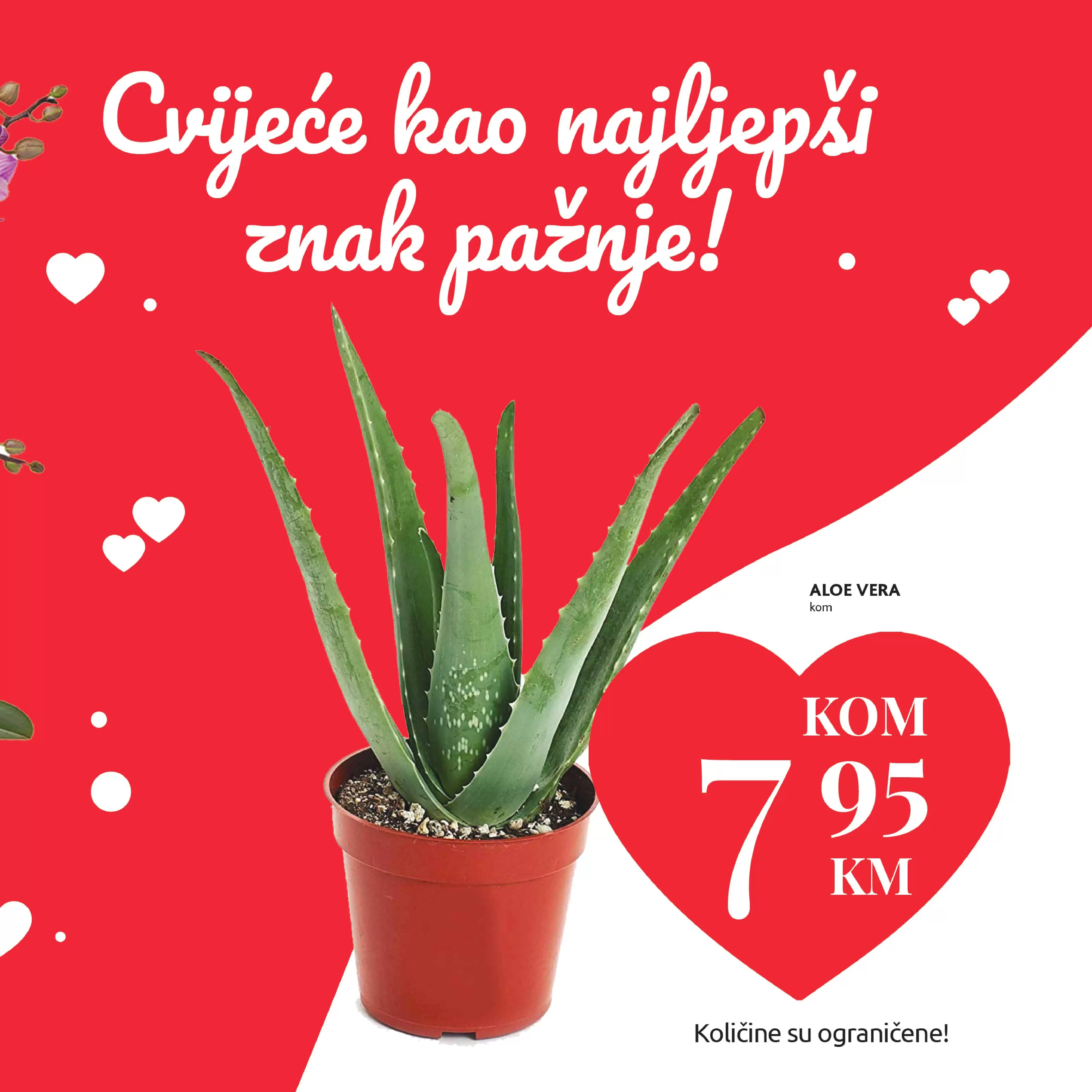 konzum katalog. konzum akcija. snizenje. akcija. popust.