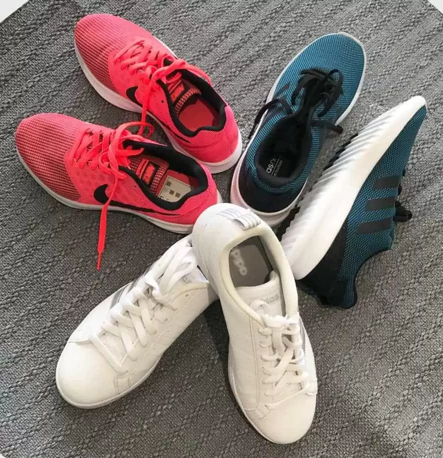 azel france velika raspordaja