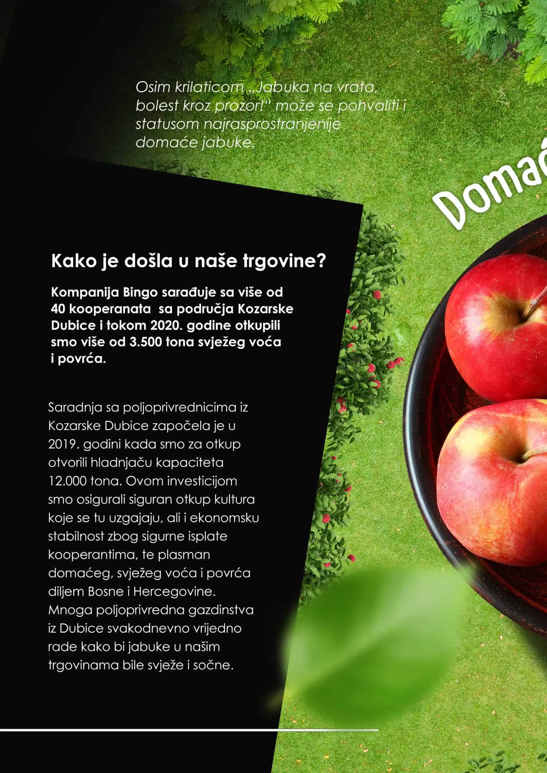 bingo akcijski katalog. bingo katalog. snizenje. akcija.