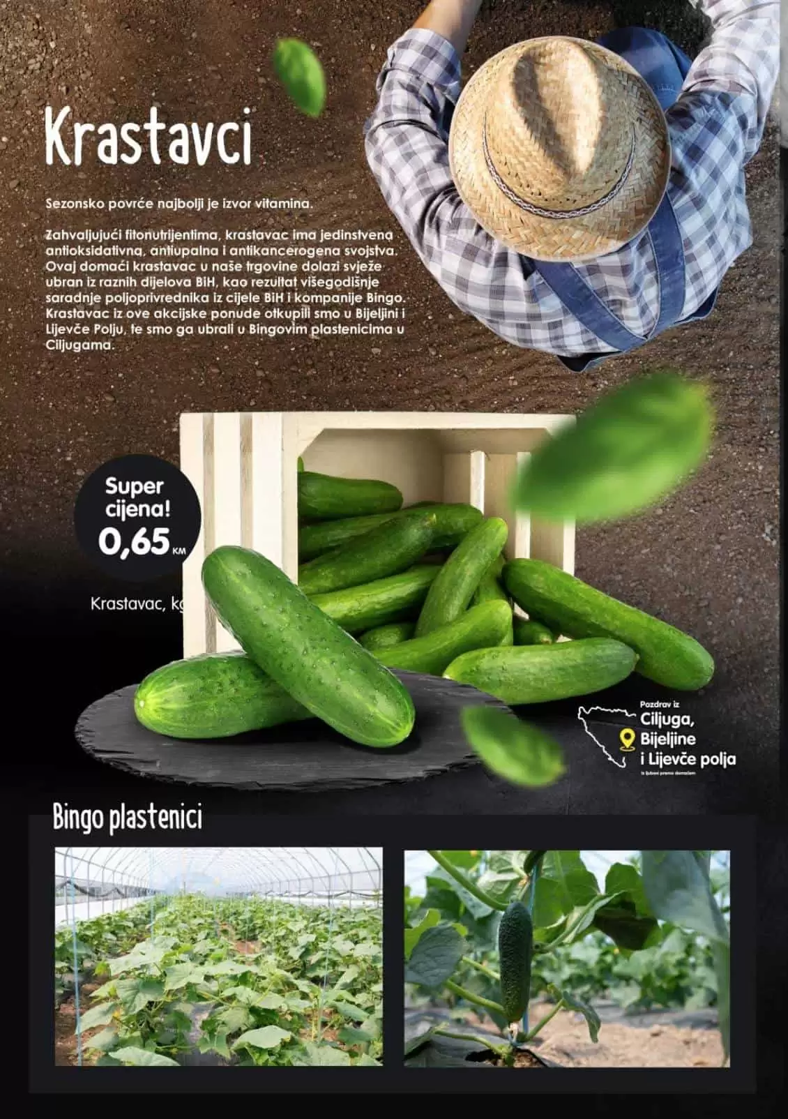 bingo katalog. bingo snizenje. bingo akcija.