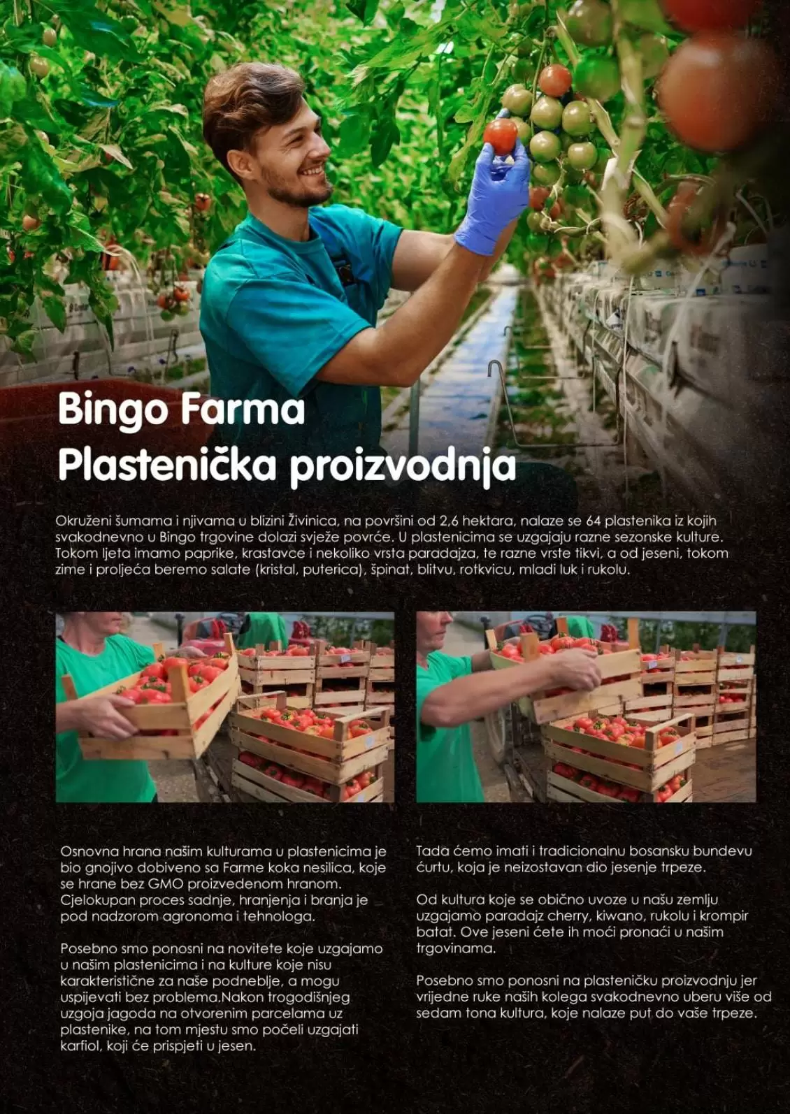 bingo katalog. bingo snizenje. bingo akcija. 