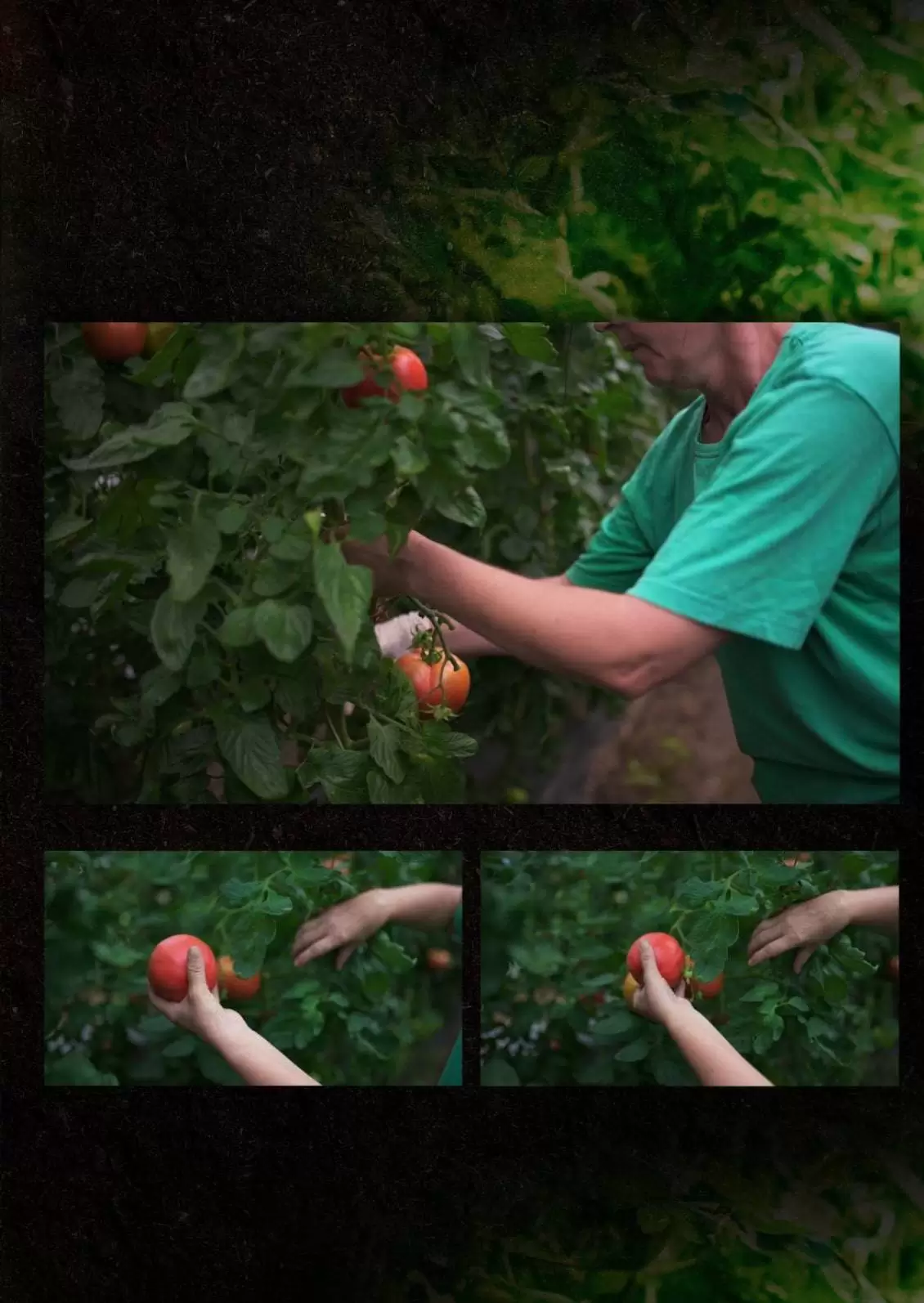 Bingo super akcija. bingo kljad dobrih cijena. snizeno. akcija. popust. 