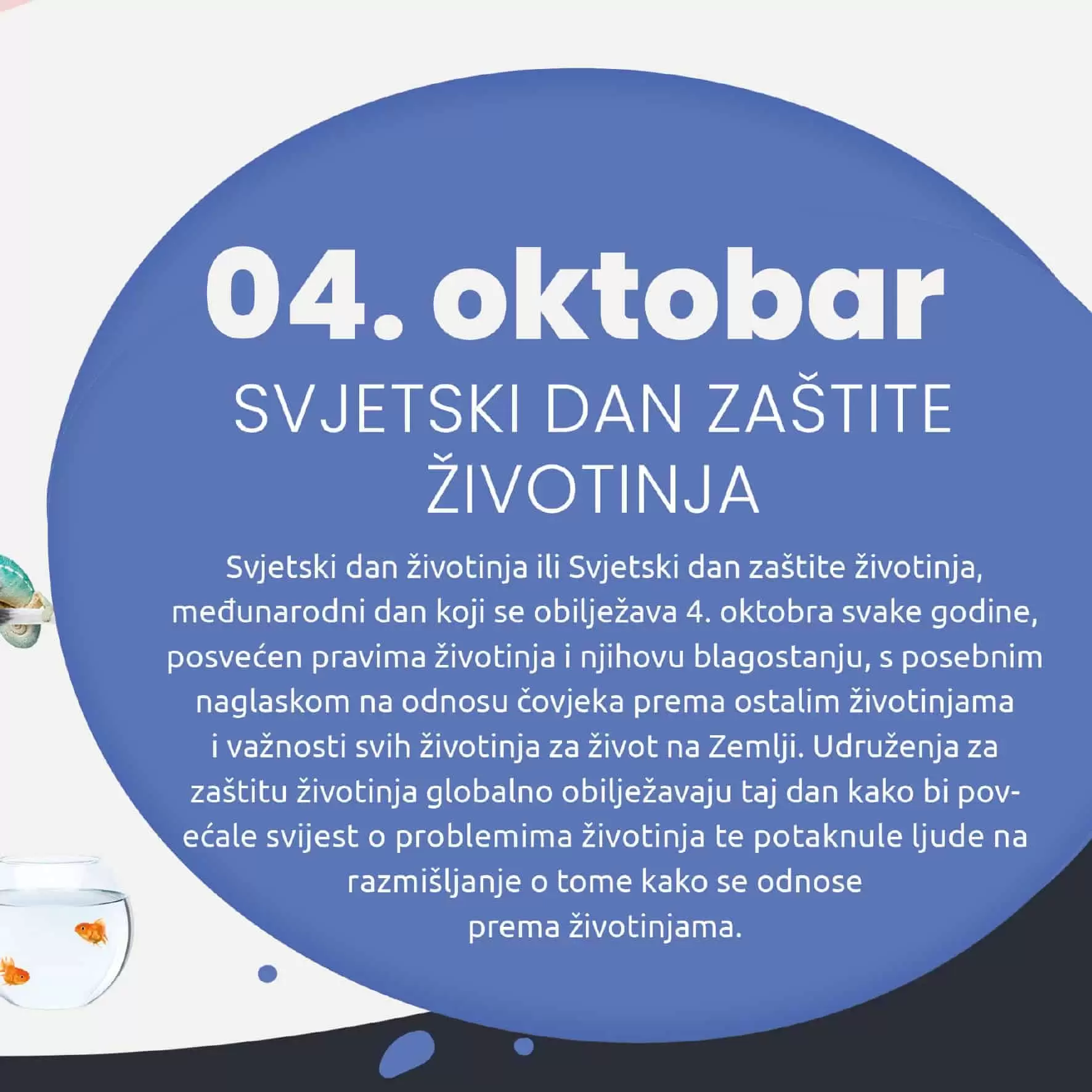 4. oktobar svjetki dan zastite zivotinja 