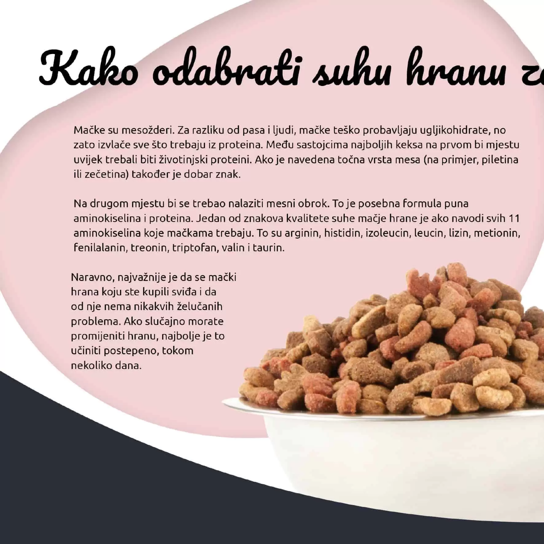 Kako odabrati suhu hranu za macke