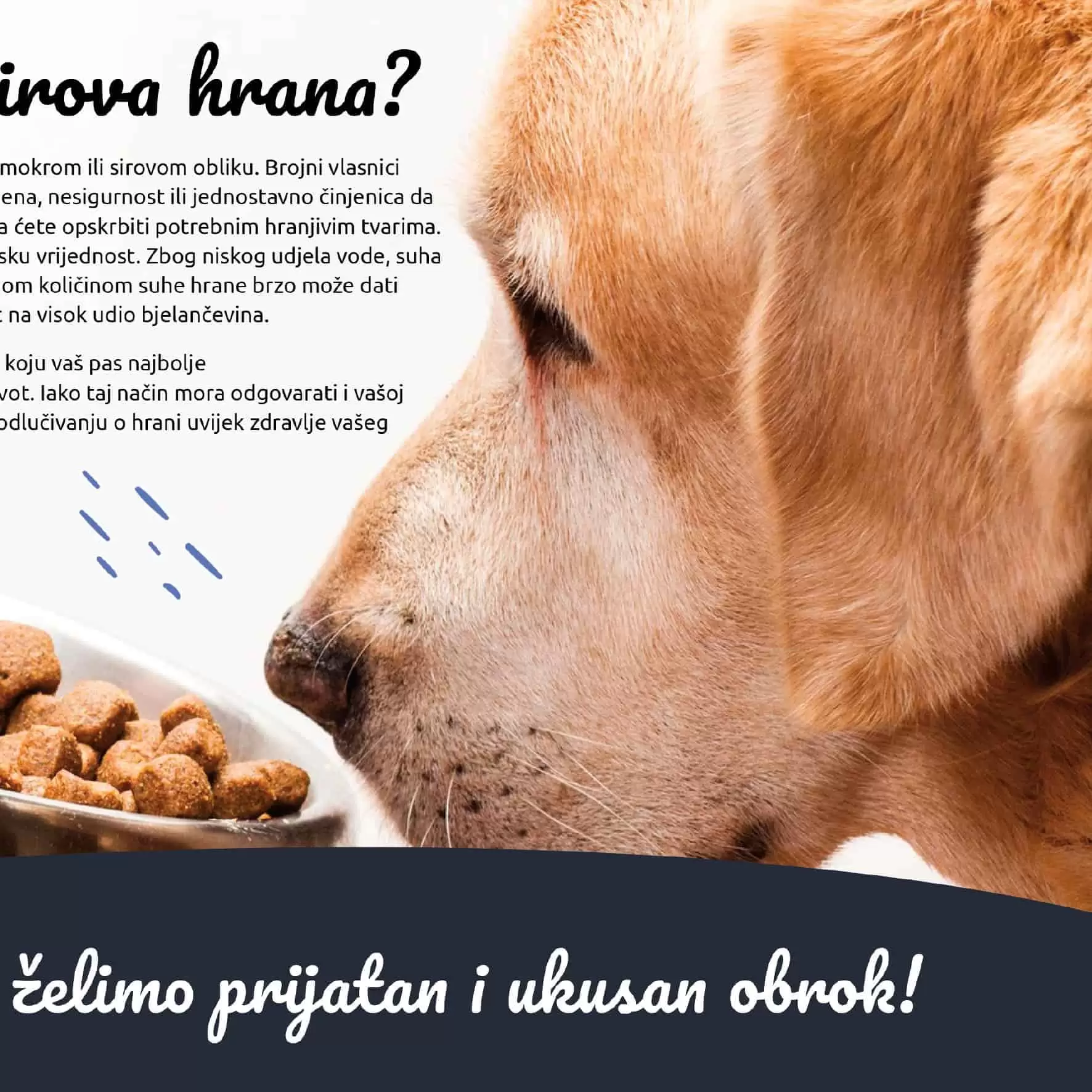 zdrava hrana za pse, pseca hrana, hrana za pse, hrana za pse cijena, hrana za pse akcija 