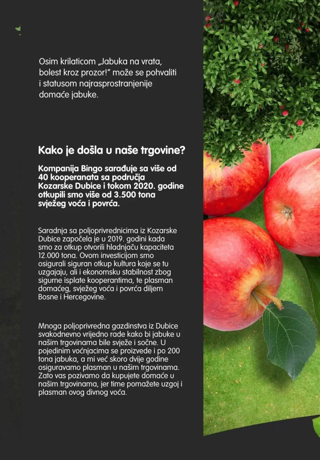 bingo akcijski katalog, snizenje. akcija. popust. snizeno. 