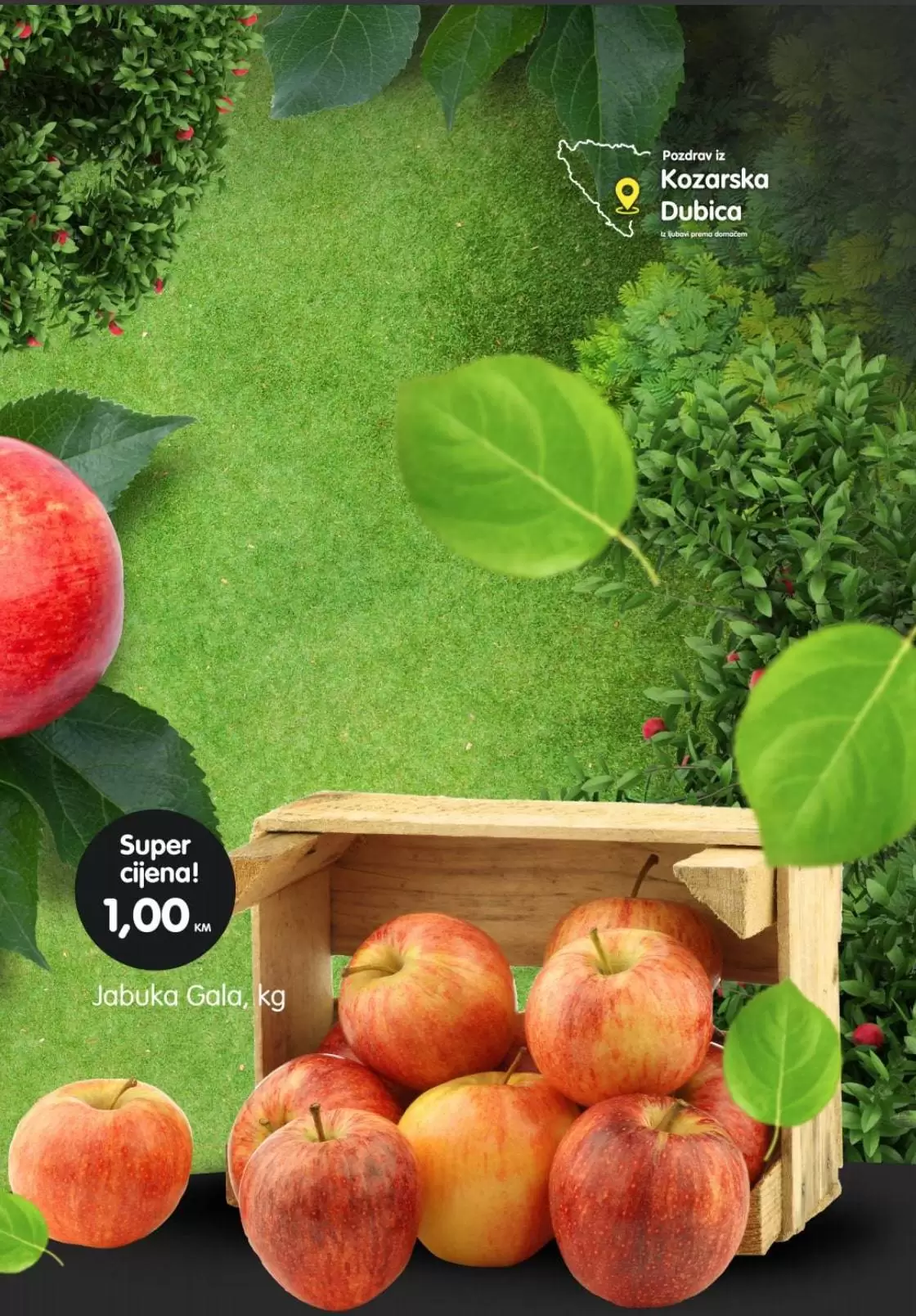 Bingo super akcija. bingo kralj dobrih cijena. snizeno. akcija. popust. 