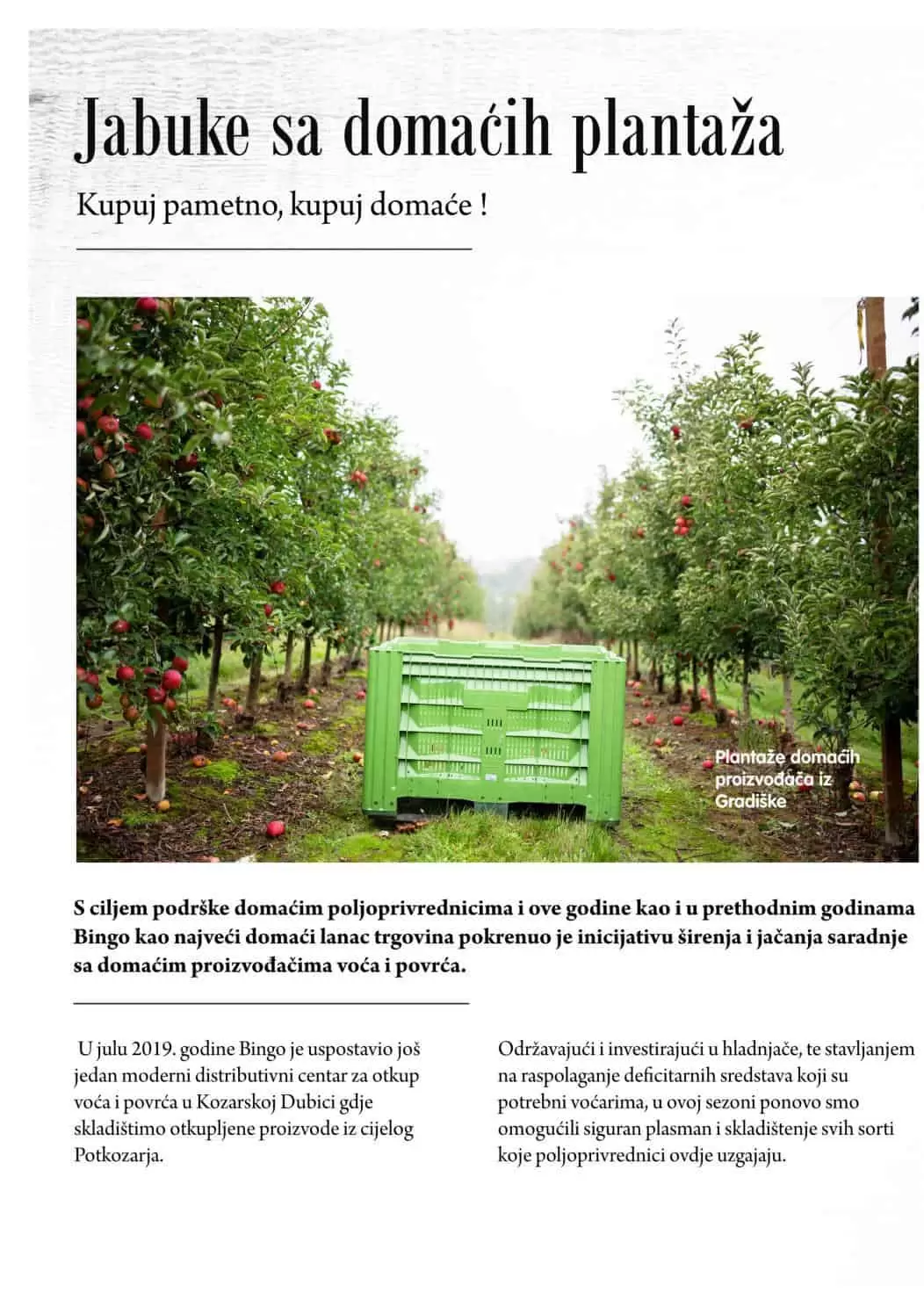 bingo, bingo akcija, bingo popust, bingo katalog, bingo vikend akcija, bingo snizenje, katalozi i akcije, akcije bih, katalozi bih