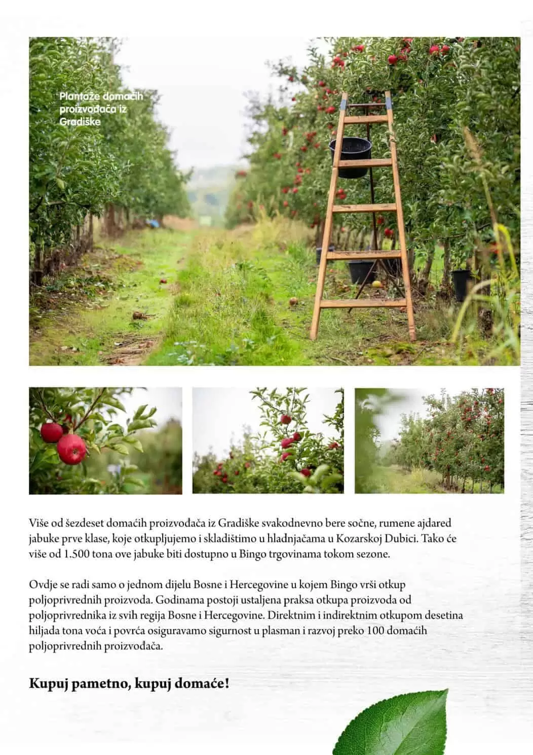 bingo, bingo akcija, bingo popust, bingo katalog, bingo vikend akcija, bingo snizenje, katalozi i akcije, akcije bih, katalozi bih