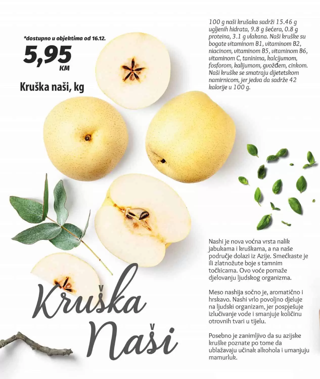 bingo, bingo akcija, bingo popust, bingo katalog, bingo vikend akcija, bingo snizenje, katalozi i akcije, akcije bih, katalozi bih 