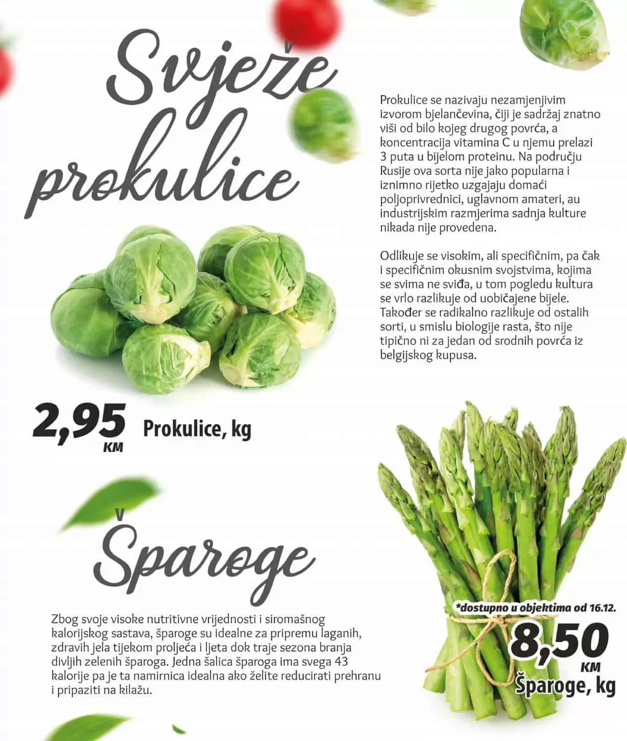 bingo, bingo akcija, bingo popust, bingo katalog, bingo vikend akcija, bingo snizenje, katalozi i akcije, akcije bih, katalozi bih 