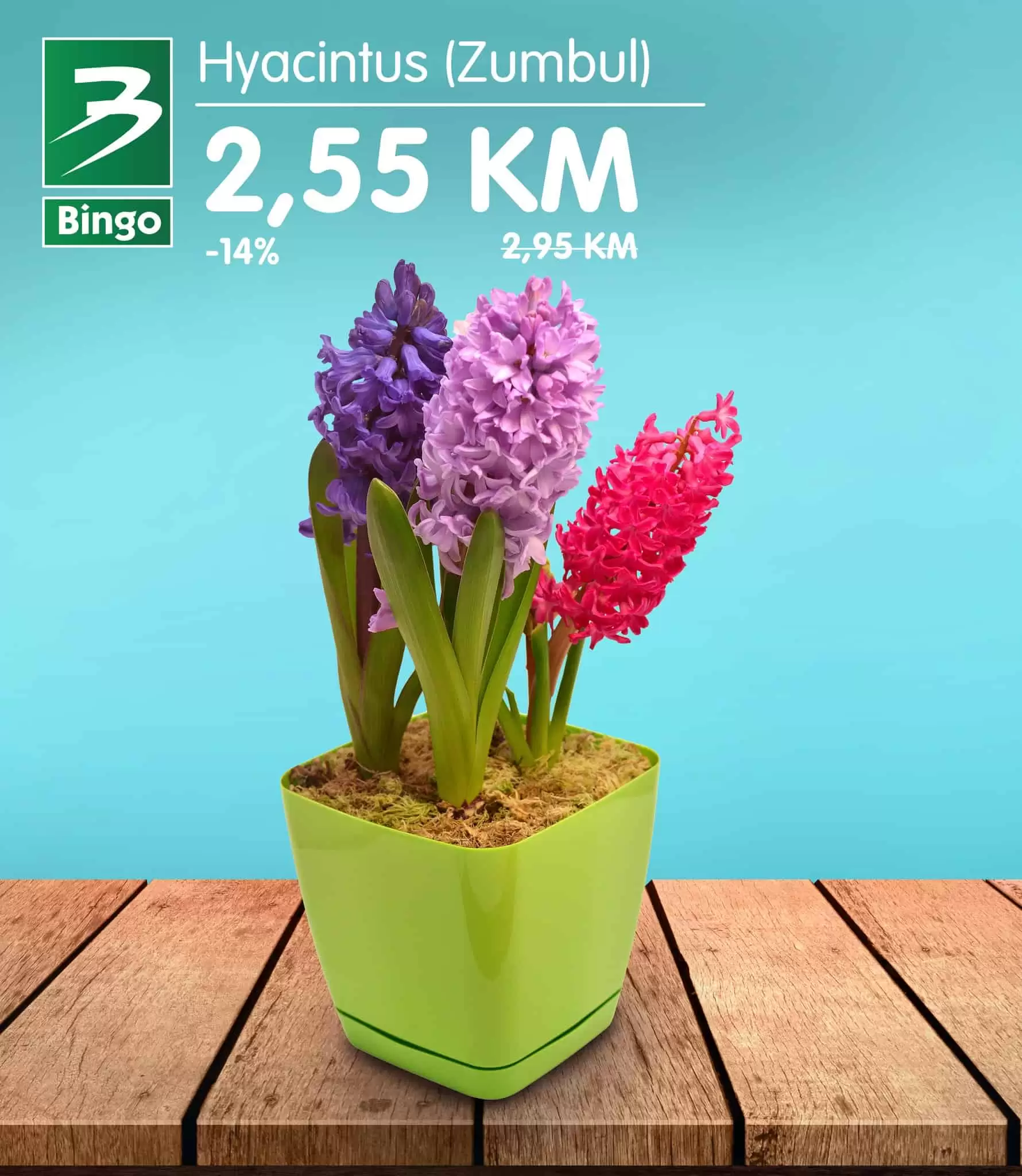 bingo, bingo akcija, bingo popust, bingo katalog, bingo vikend akcija, bingo snizenje, katalozi i akcije, akcije bih, katalozi bih 