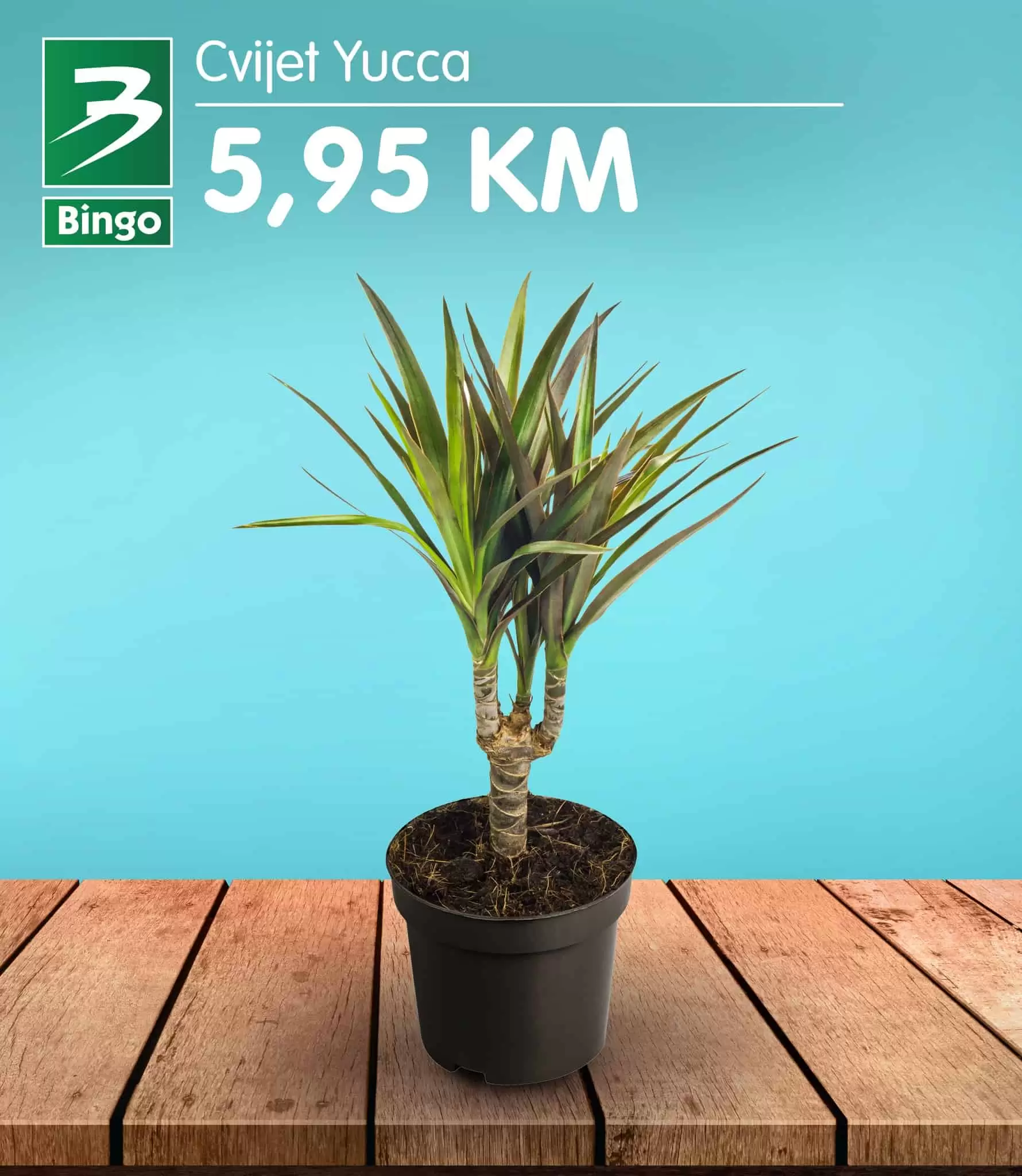 Bingo, Bingo katalog, Bingo akcija, Bingo snizenje, Bingo akcije i katalozi, Bingo vikend akcija, Bingo akcijski katalog, Bingo kataloska akcija, Bingo tuzla, Bingo sarajevo, Bingo zenica, Bingo mostar, Bingo Kralj dobrih cijena, 