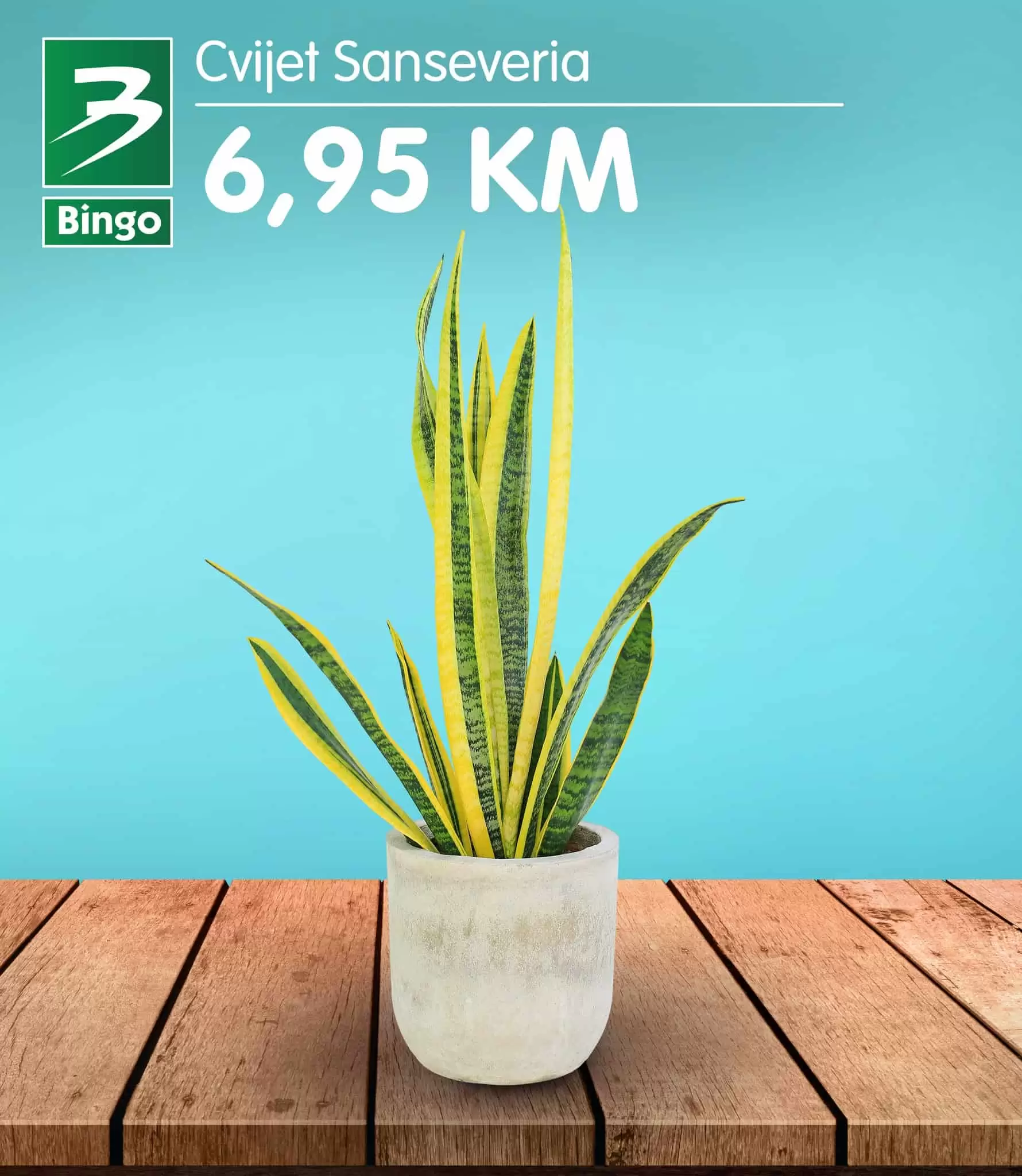 bingo, bingo akcija, bingo popust, bingo katalog, bingo vikend akcija, bingo snizenje, katalozi i akcije, akcije bih, katalozi bih 