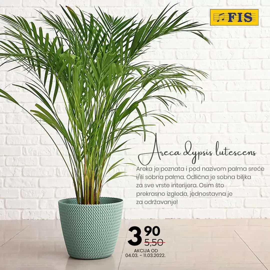 Poklonite cvijeće, poklonite radost... Fis saksijsko cvijeće već od 1,50 KM!  U FIS-ovim centrima potražite najljepše saksijsko cvijeće, pažljivo odabrano za vas i osobe koje volite. 