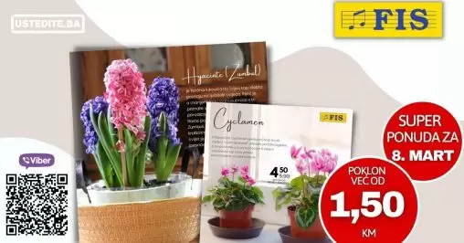 Poklonite cvijeće, poklonite radost... Fis saksijsko cvijeće već od 1,50 KM!  U FIS-ovim centrima potražite najljepše saksijsko cvijeće, pažljivo odabrano za vas i osobe koje volite. 